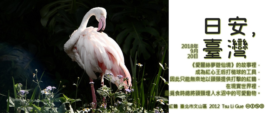 365 日安，臺灣之2018年9月20日